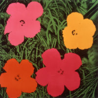 Square screenprint of four flowers, each with five pedals, with green blades of grass in the background. A pink flower is in the top-left corner; yellow flower on top-right corner; orange flower on bottom-left corner; and red flower on bottom-right corner.