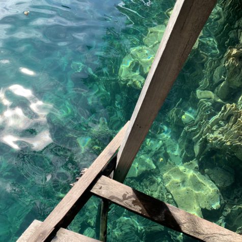 Photograph of clear body of water taken from above while standing on a wooden structure of which parts are seen in the photo.