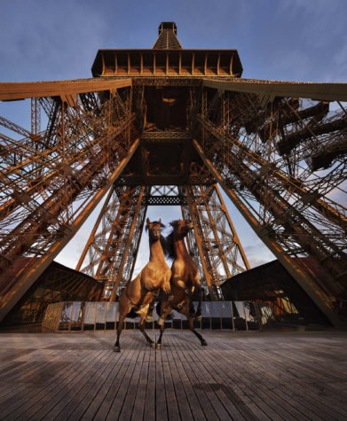 Photograph of two brown horses rearing next to each other at the base of the Eiffel Tower