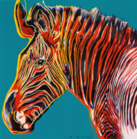 Endangered Species: Grevy's Zebra" by Andy Warhol, featuring a colorful, stylized portrayal of a zebra with vibrant red and yellow stripes against a bright blue background.