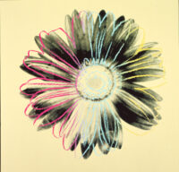 Colorful artistic illustration of a flower with neon pink, yellow, and blue highlights radiating from the center on a pale yellow background.