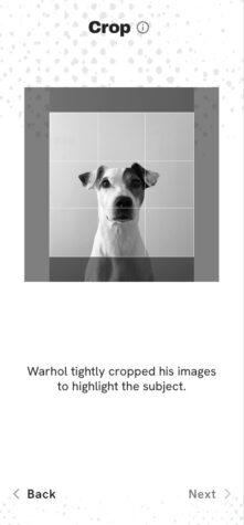 Close-up black and white photo of a dog, demonstrating a cropping technique used by Warhol to highlight the subject, with navigation buttons labeled 'Back' and 'Next' below.